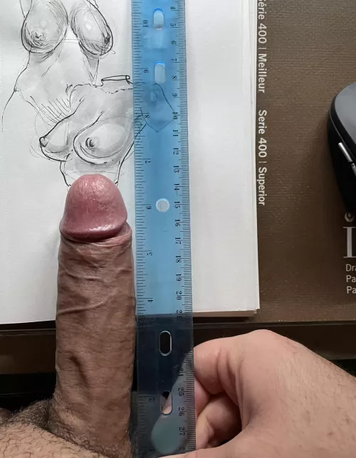 Here’s a ruler comparison. Took every inch I could lol