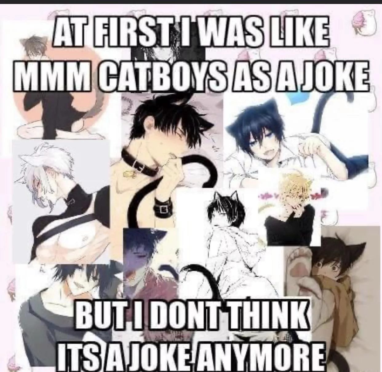 I 💙 cat boys