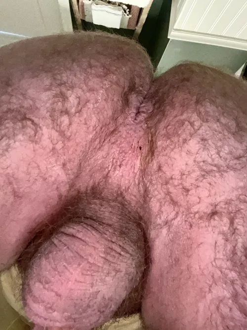 Lick daddy’s smelly asshole