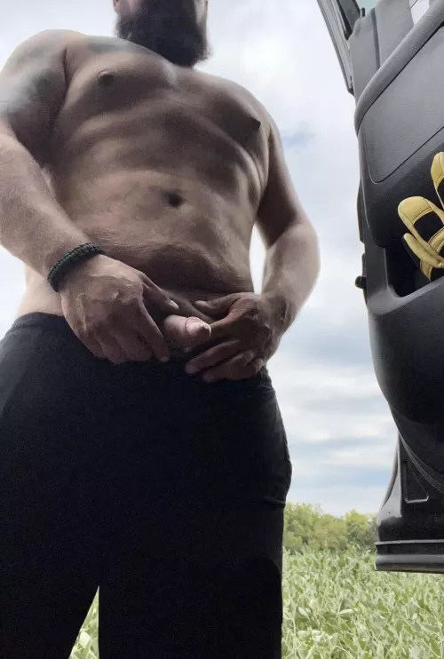 Out checking bean fields