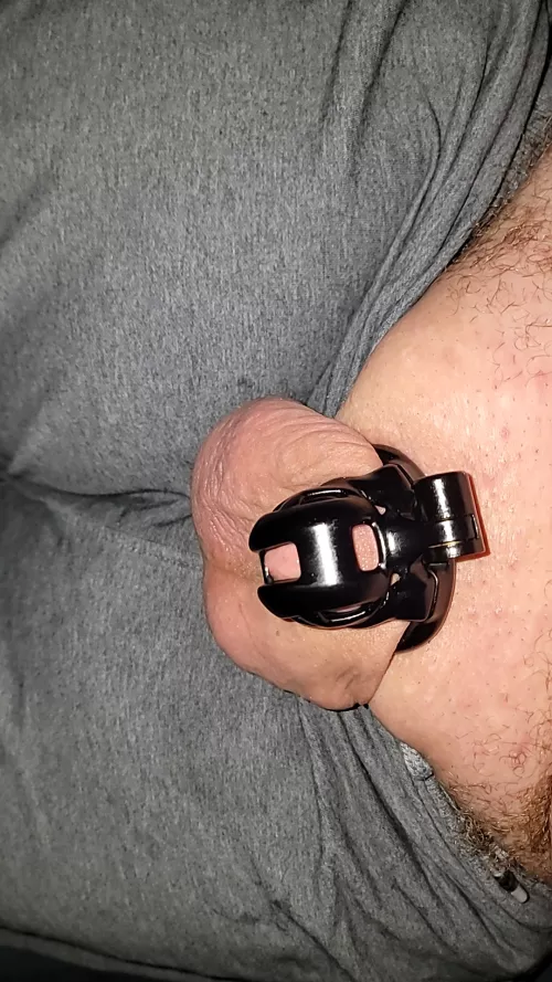 4 days locked and I'm dripping. I'm wondering if I'll be unlocked before locktober or not. Also a friend my wife and I have played with before is visiting from out of state in early locktober. We've agreed that we're going to play with him again, bu