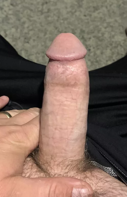 (41 ) Please DM me your pics so i can jerk off . I'll rate if you ask