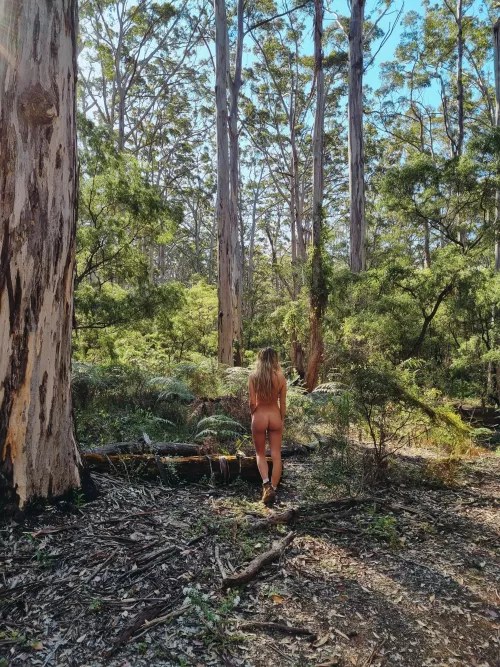 humbled by the height of these trees 🌲