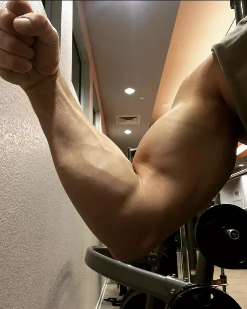 I literally am that guy