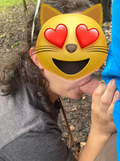 Public parks are just the best, aren’t they?