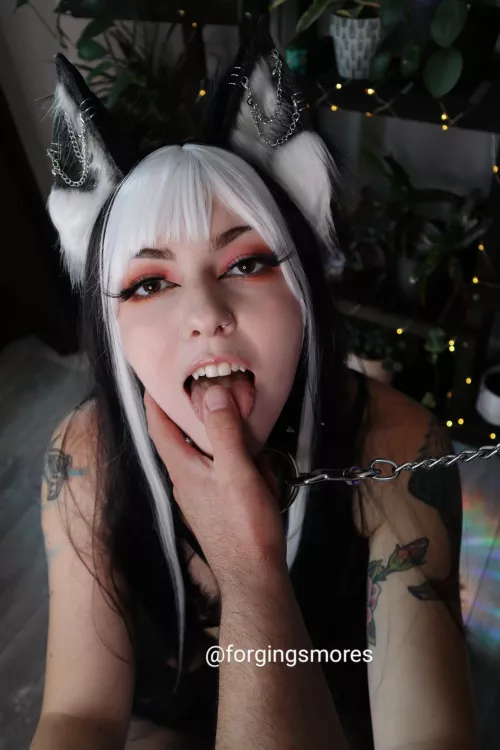 Ready to be used 😌