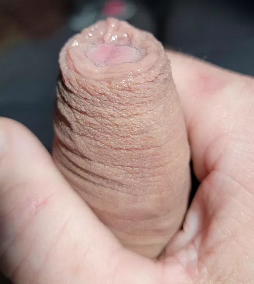 softie, covered in pre