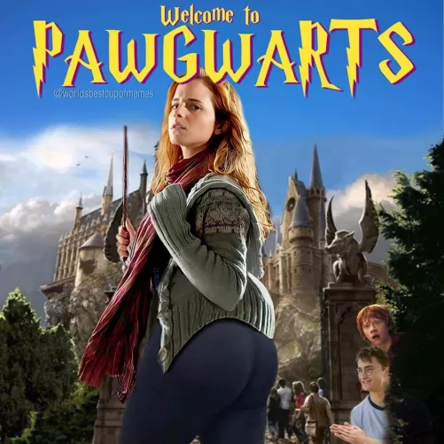 Are there any spoofs out there of Harry Potter? I know this one isn’t real.