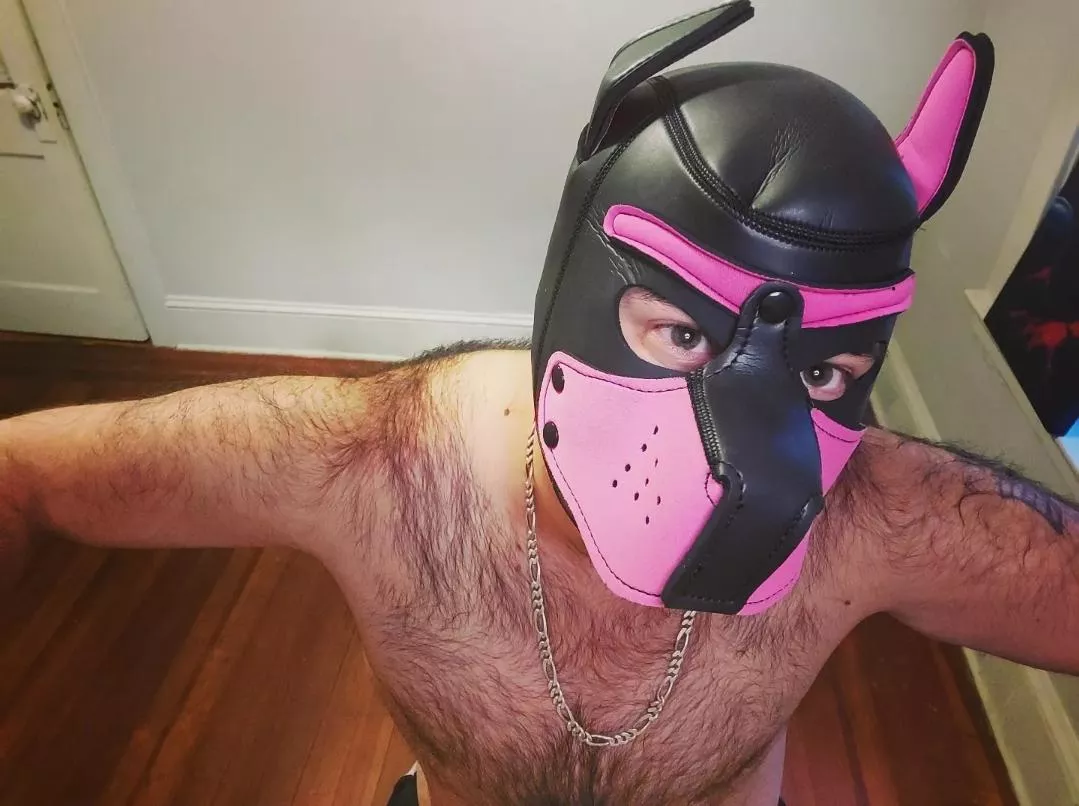 Come play with me