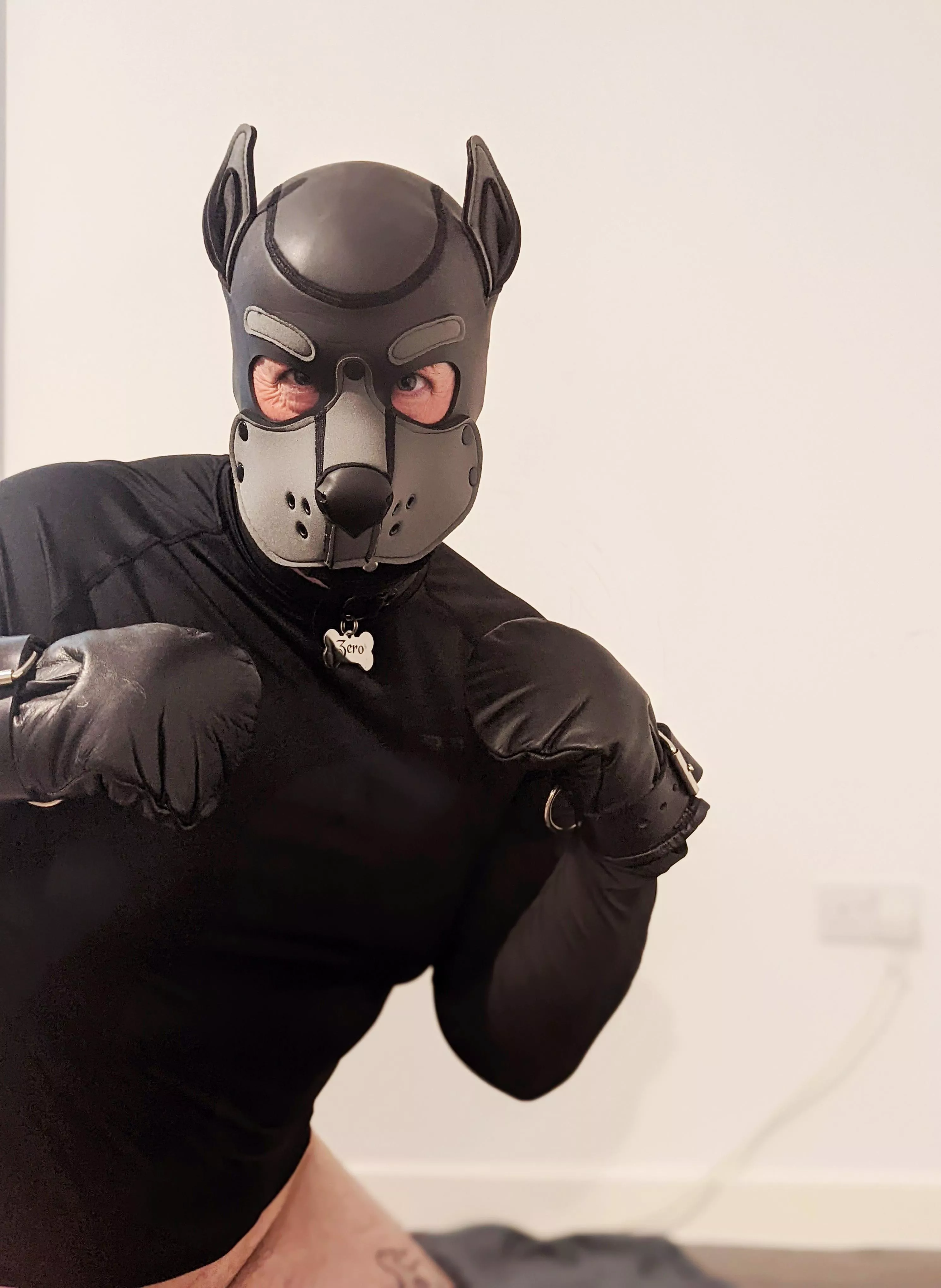 Good boy 🐾