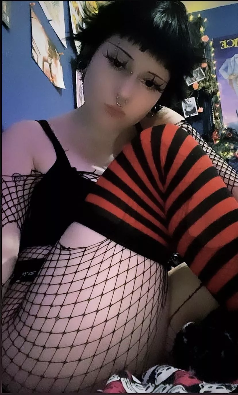 hi >:3