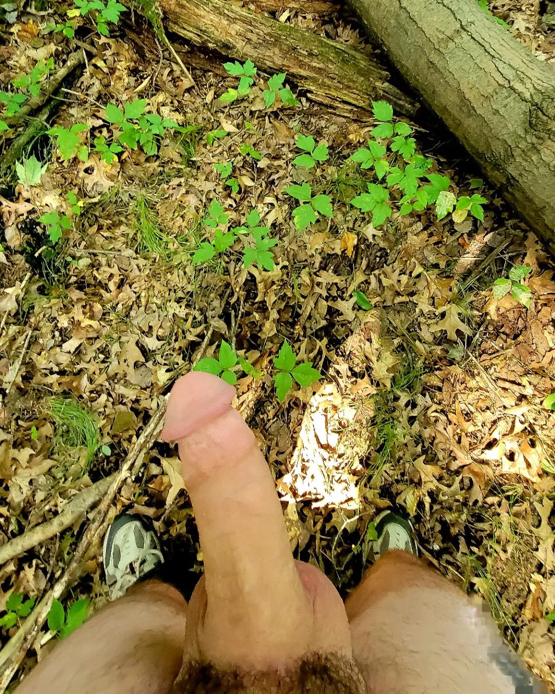 I need a hiking buddy