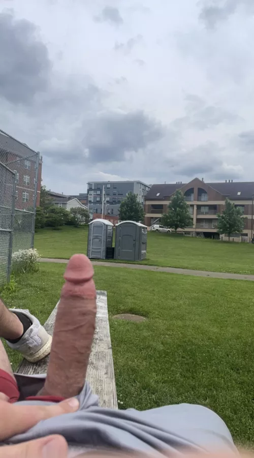 let’s go to the park