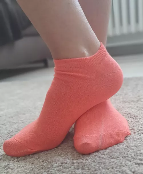 Rate my socks🥰