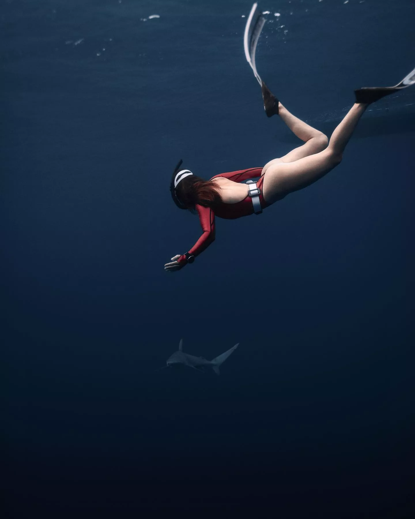 Shark bait