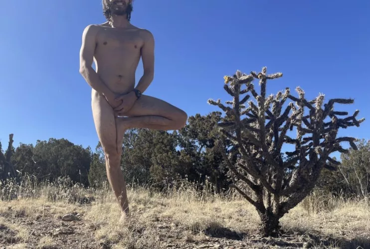 First (tree) pose here. Hope you like 🙏🏼