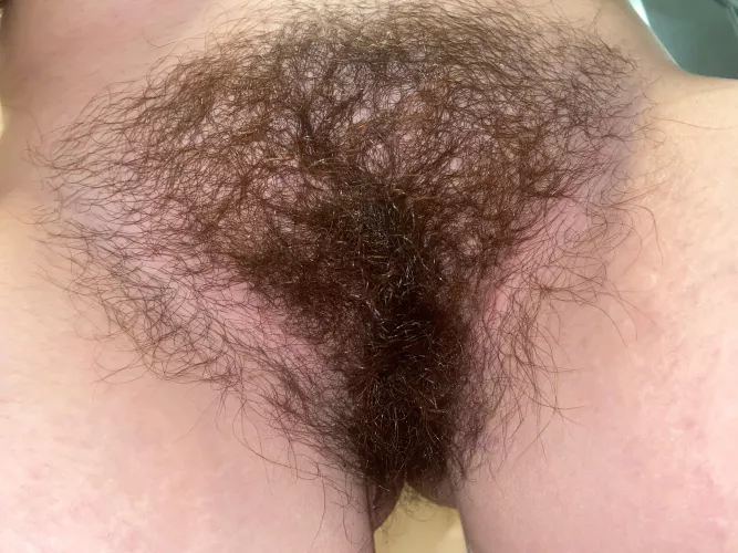 Going on 9 months without shaving…👀