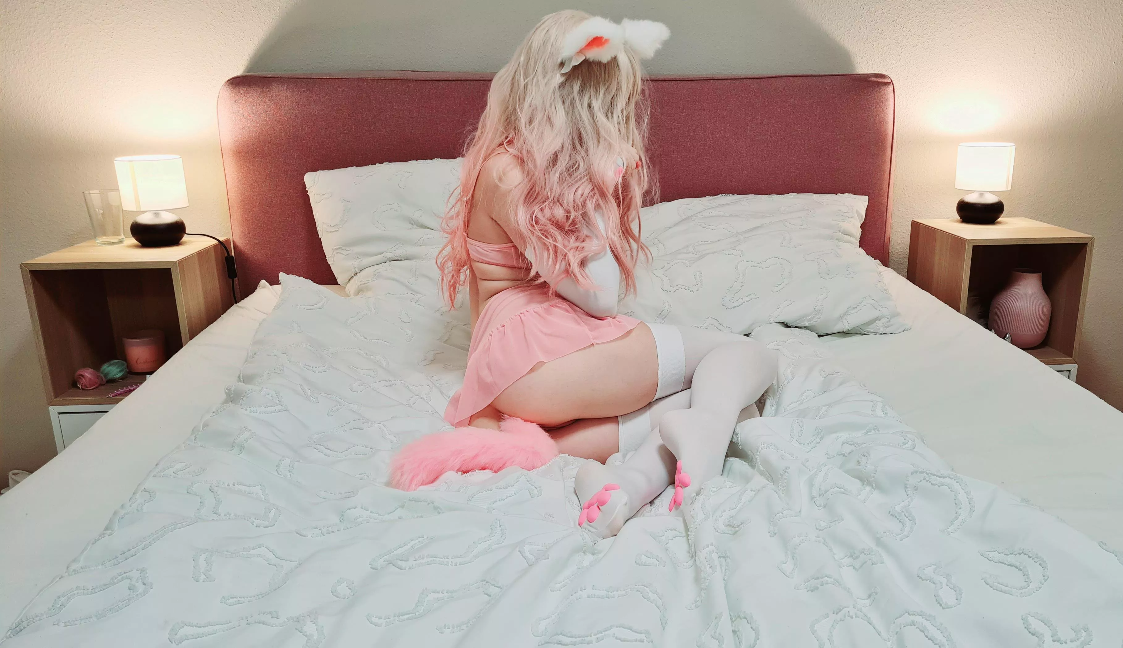meow 🍑😽🤍