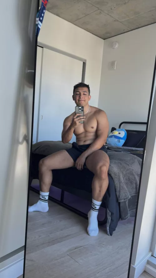 My cute cuddle buddy in the back. Ngl I do want the 19 3/4 inch plush 😭😭😭