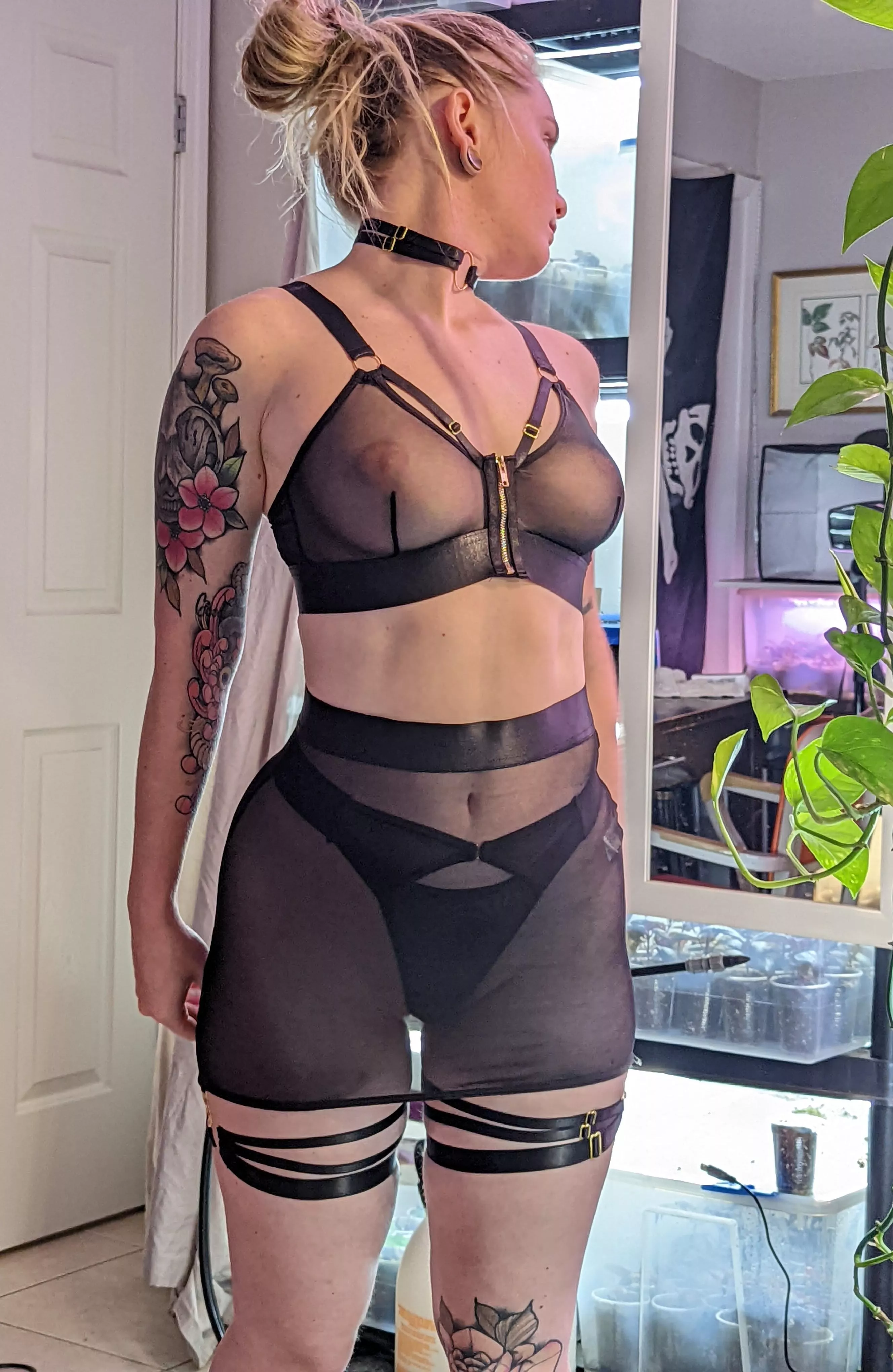 New lingerie