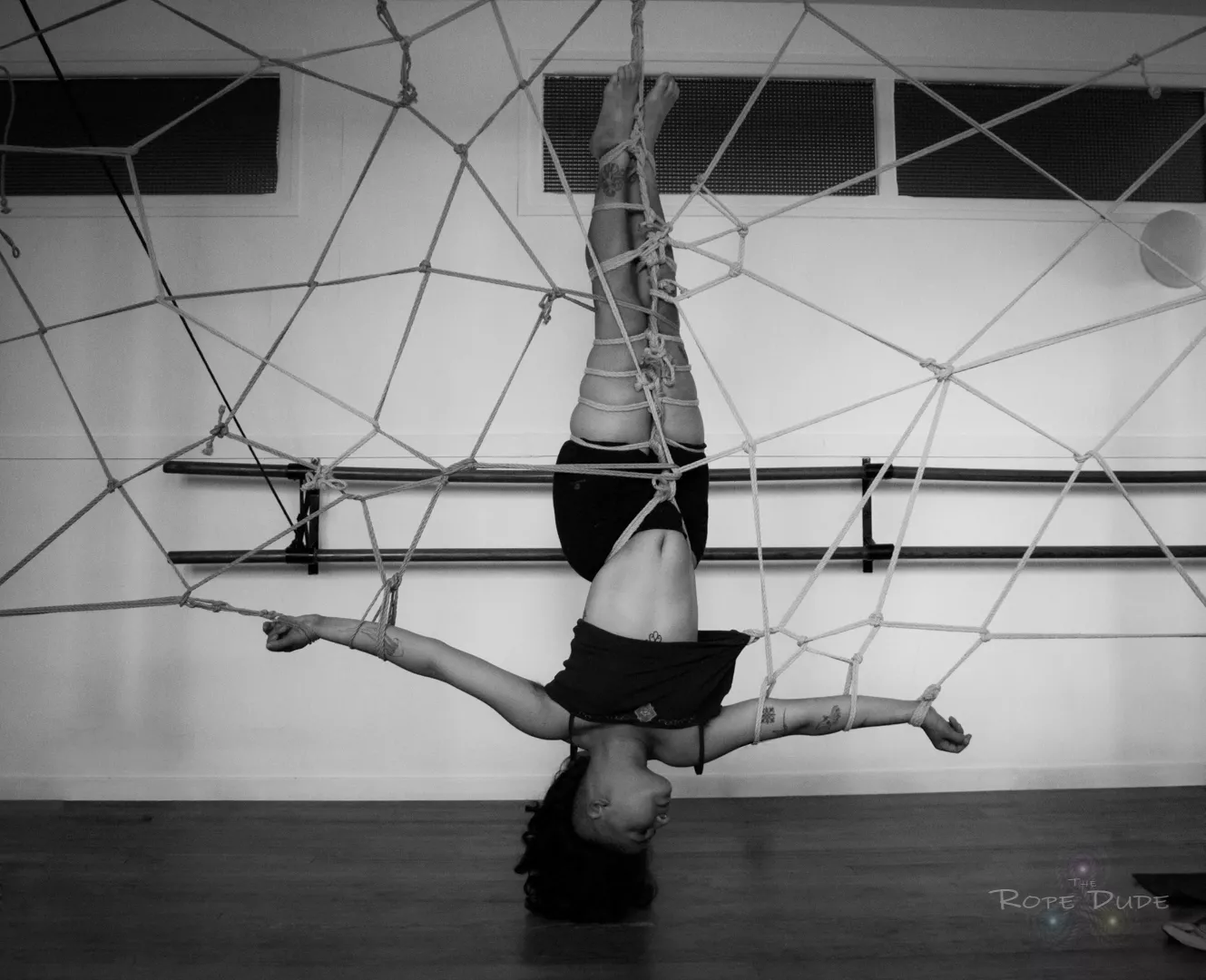 Trapped in the web