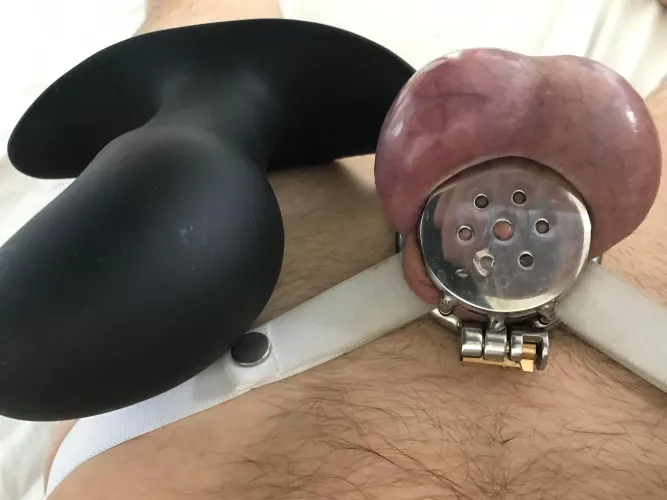 Wife like my huge plug 20 cm, locked for one week in new chastity