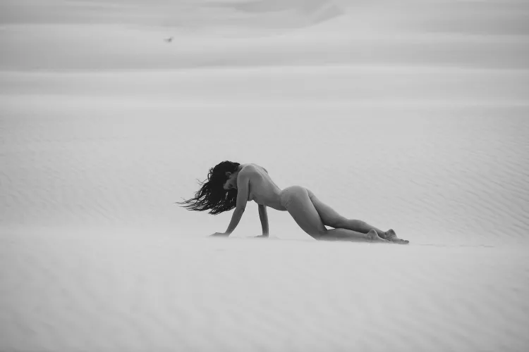 Go wild, for a while.