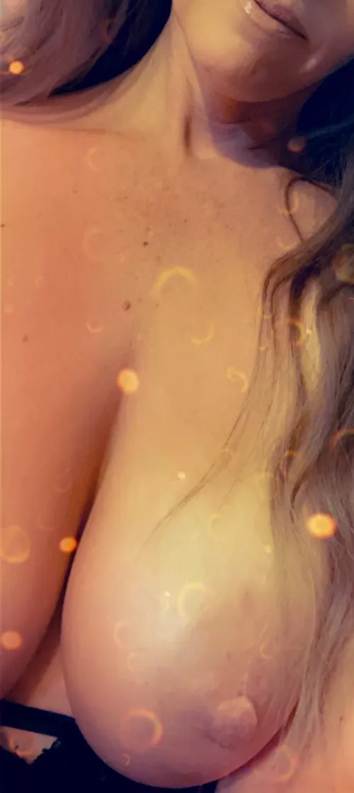 Happy ( • Y • ) Tuesday!