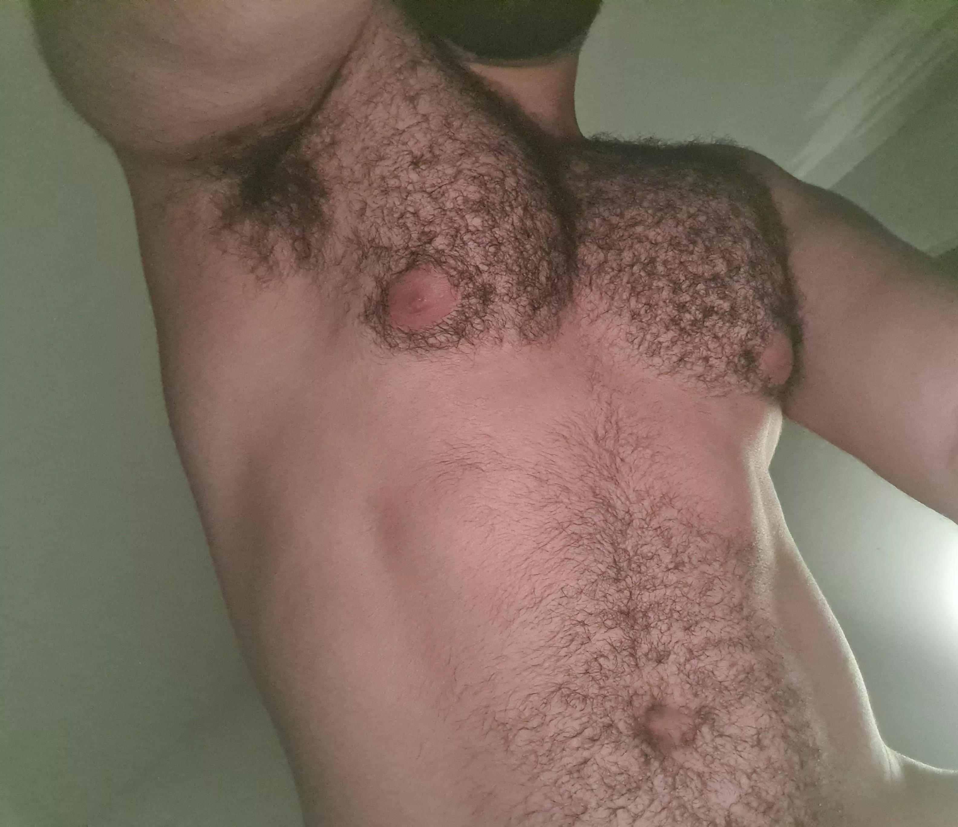 hey ..