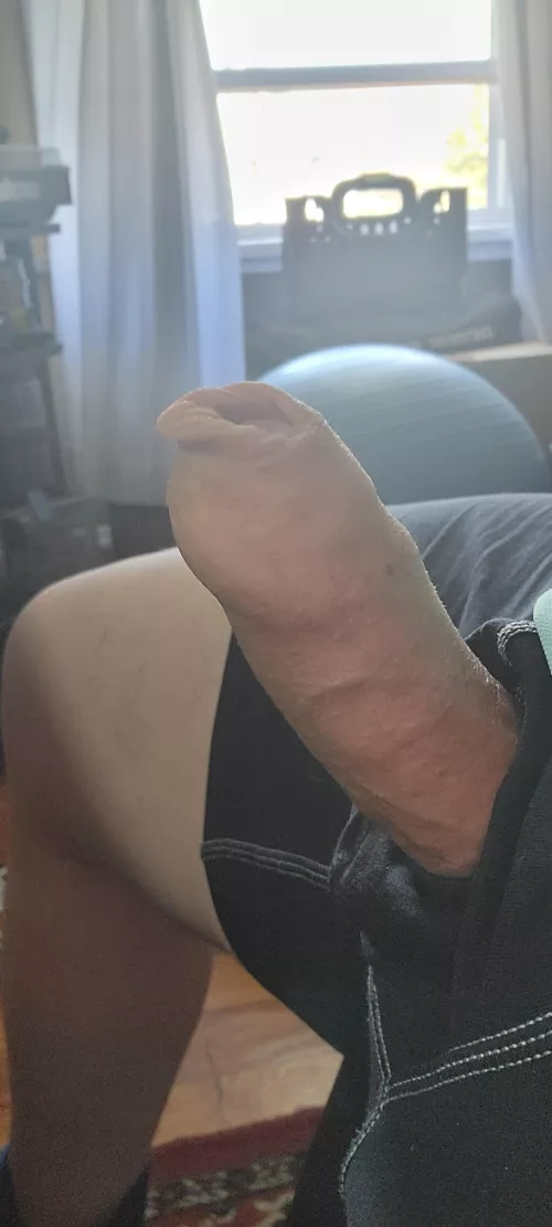 short uncut