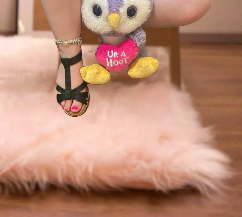 “Ur a hoot”