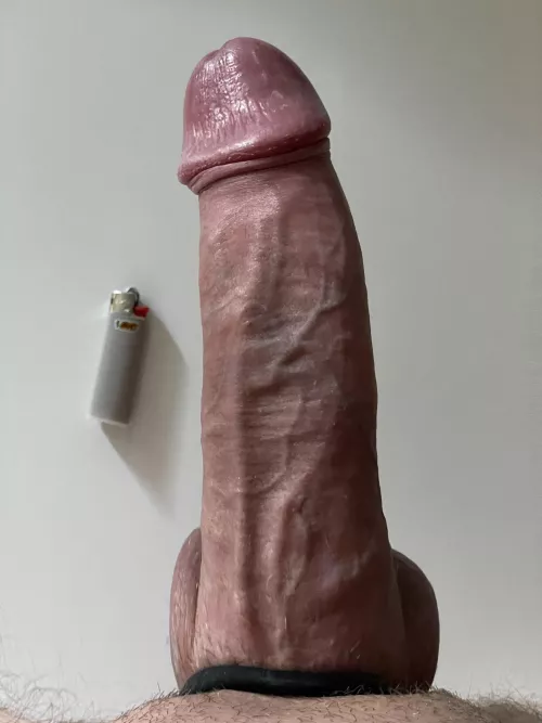 Would it be big enough for you?🥴😟