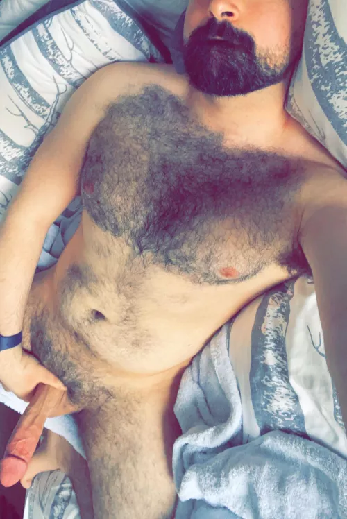 Daddy wants someone to ride him with their hands on his furry pecs