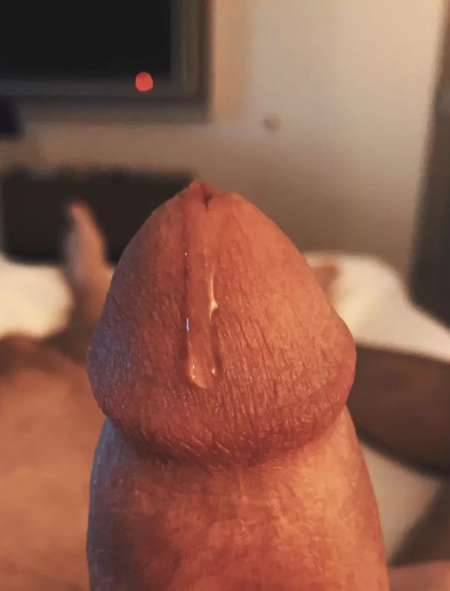I am a constant precummer, even when I'm soft. When I fuck raw, I don't need lube. It's rad during sex, but kind of a hassle in everyday life as my hairy thighs & pubes & belly hair & sheets & underwear are always sticky with silky pre I am a constant precummer, even when I'm soft. When I fuck raw, I don't need lube. It's rad during sex, but kind of a hassle in everyday life as my hairy thighs & pubes & belly hair & sheets & underwear are always sticky with silky pre