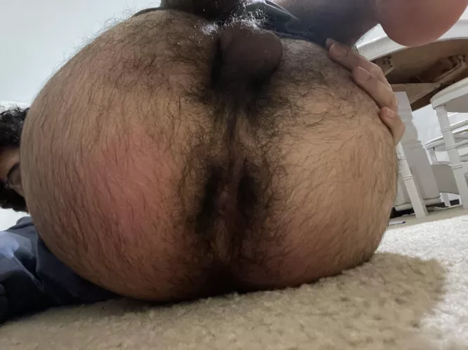 18, can’t wait for my ass to get even hairier!!! Dms are open btw!