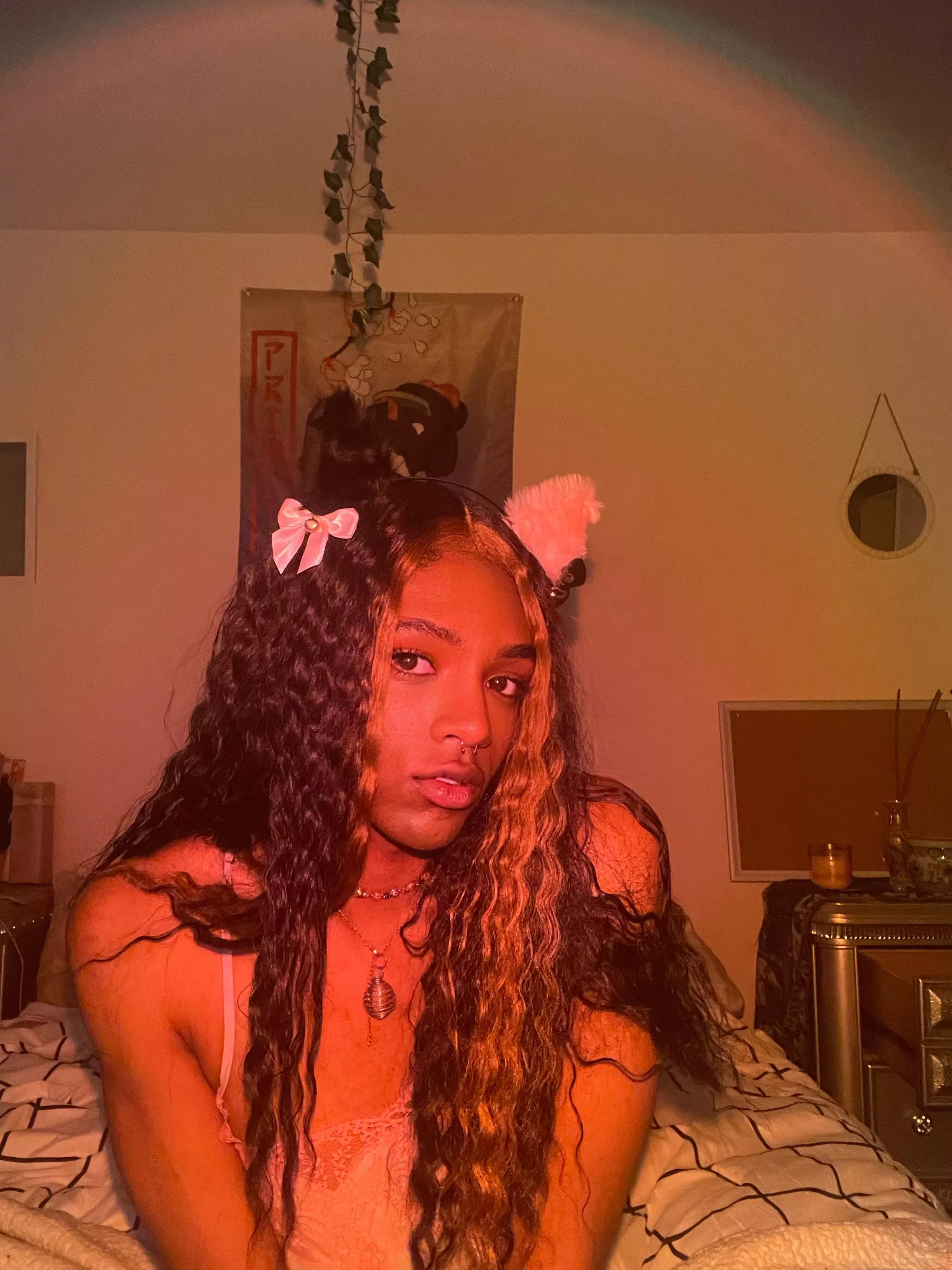 meow 🐱