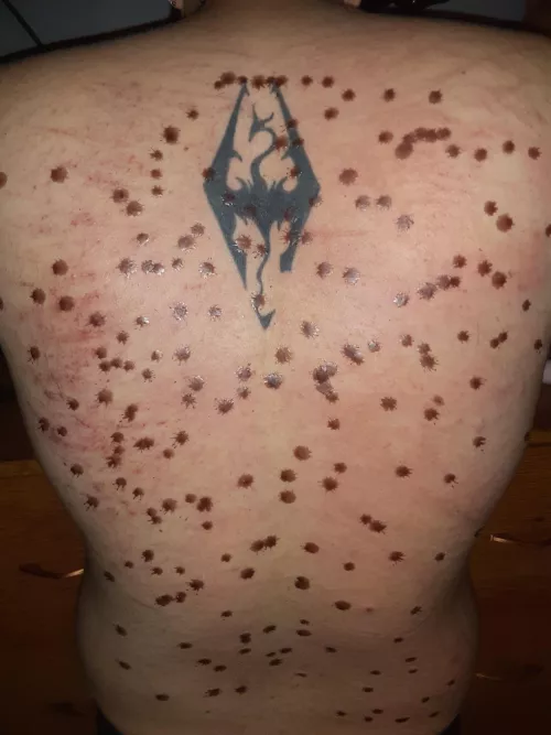 my back after 35 hits from a belt 150 floggings and 175 paddles with 1min of pouring wax