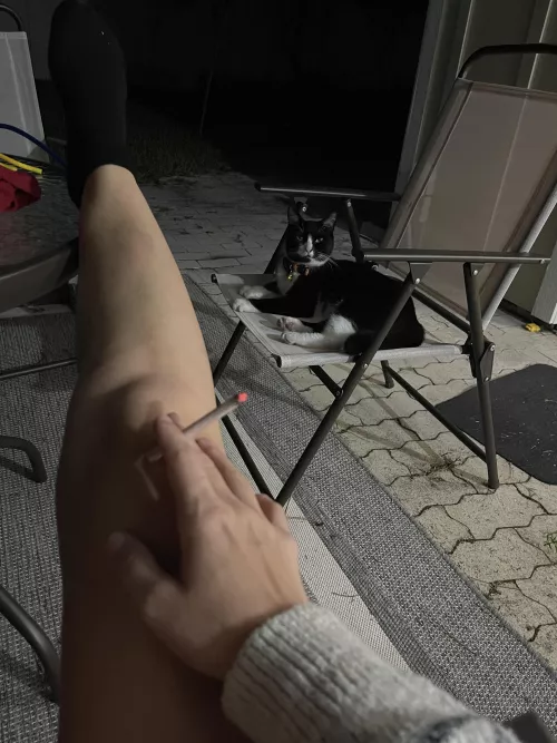 My cat looks higher than I am 😅