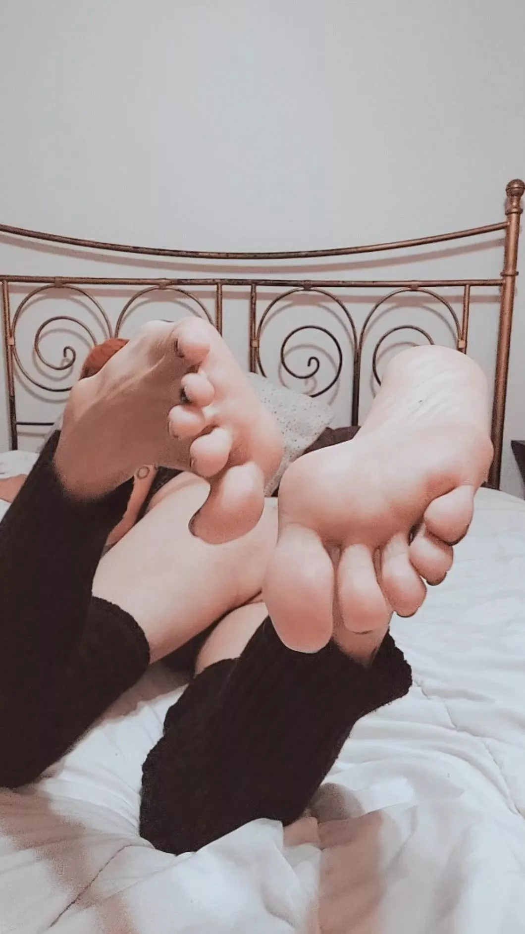 sniff sniff