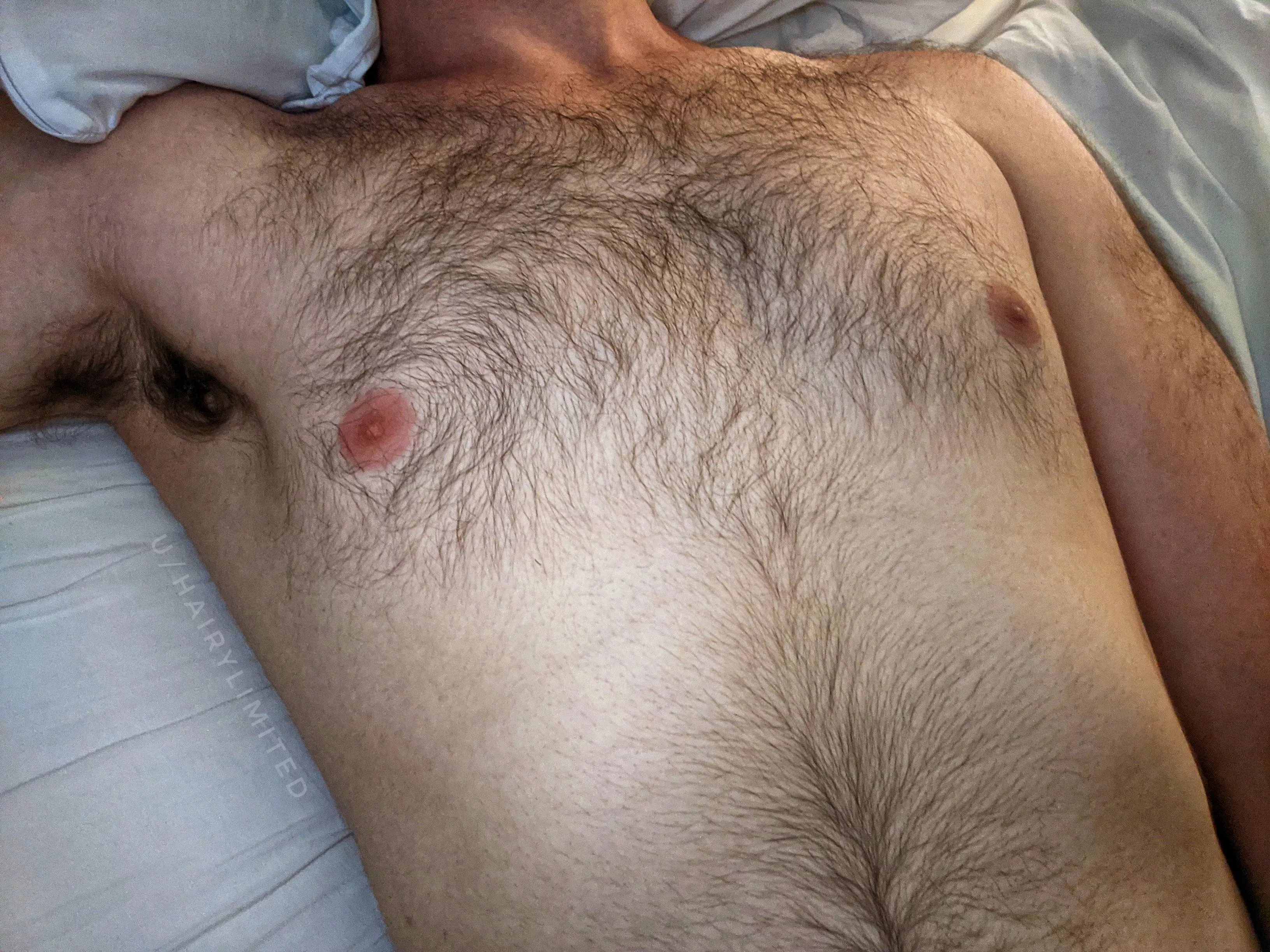 soft fur