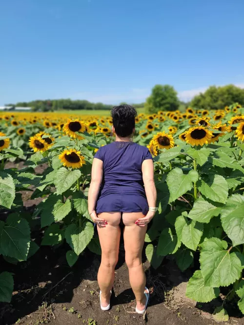 Having fun in the sunflower field! 🌻