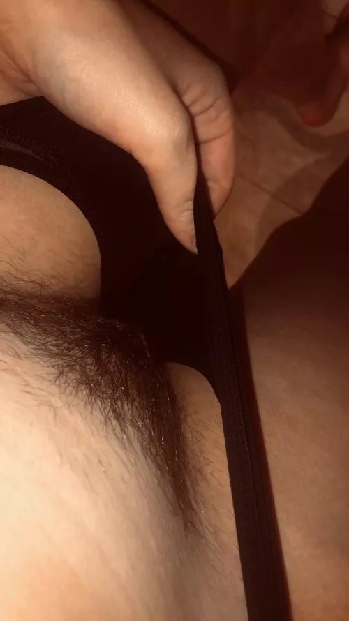 my wife is 25 and hairy, send me a pic from your hairy wife