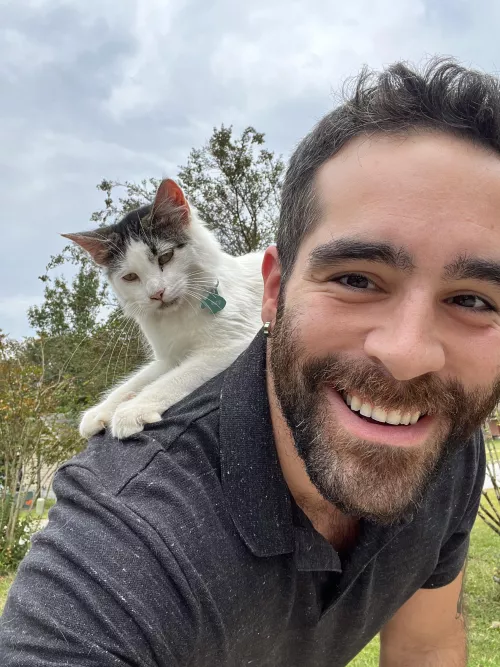 Usual Sunday, just hanging out with cats!