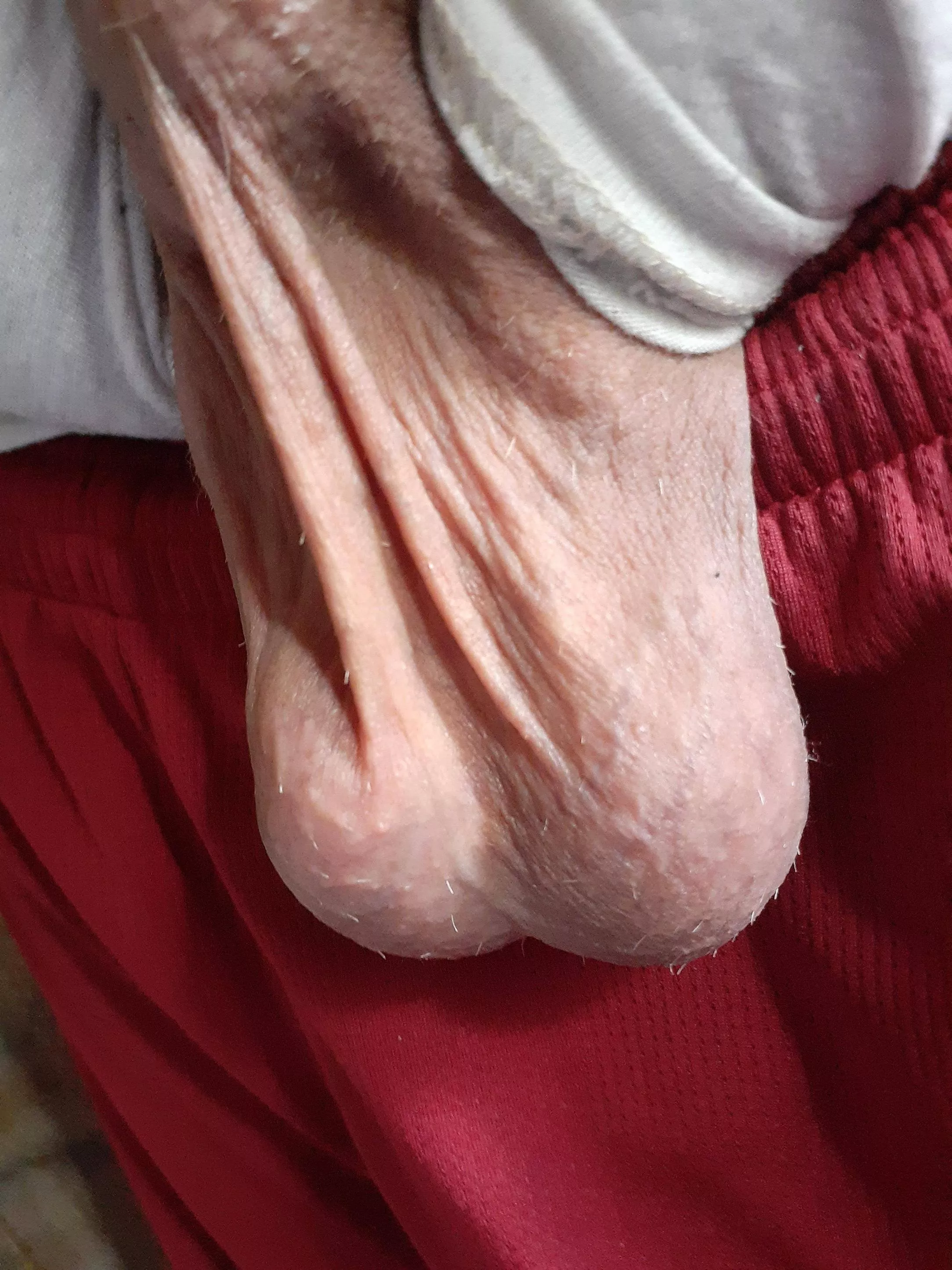 Do they look full?
