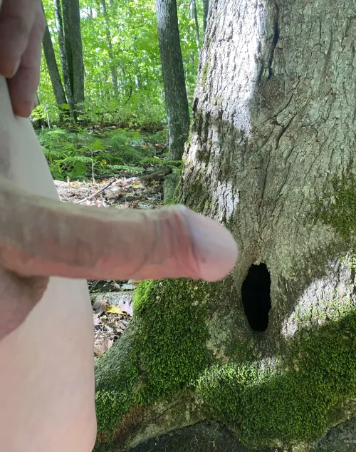 Hit the hole! That’s what she said!