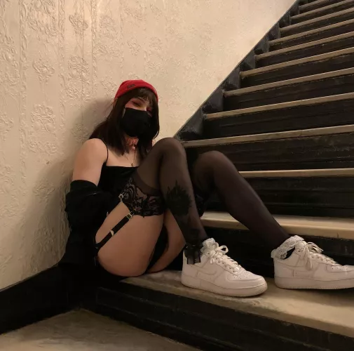 Local infertile kitten up for adoption ⛓🖤