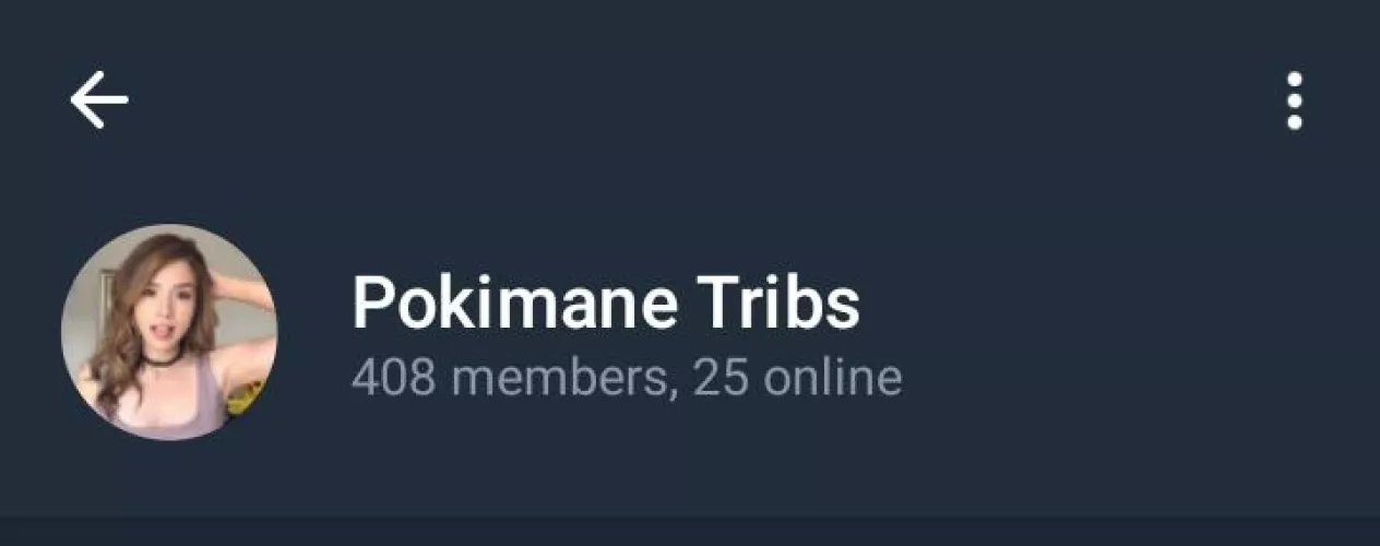 Pokimane Group with content, free, but I need you to do me a favor, obs: it is mandatory to have Telegram