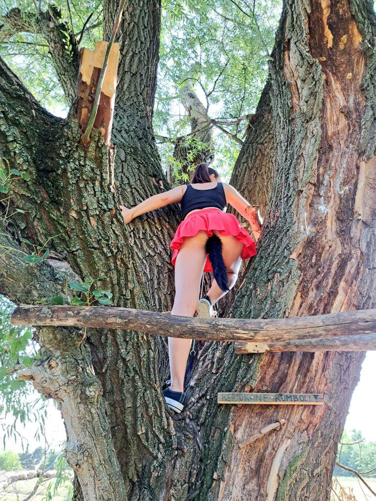squirrel 🐿️