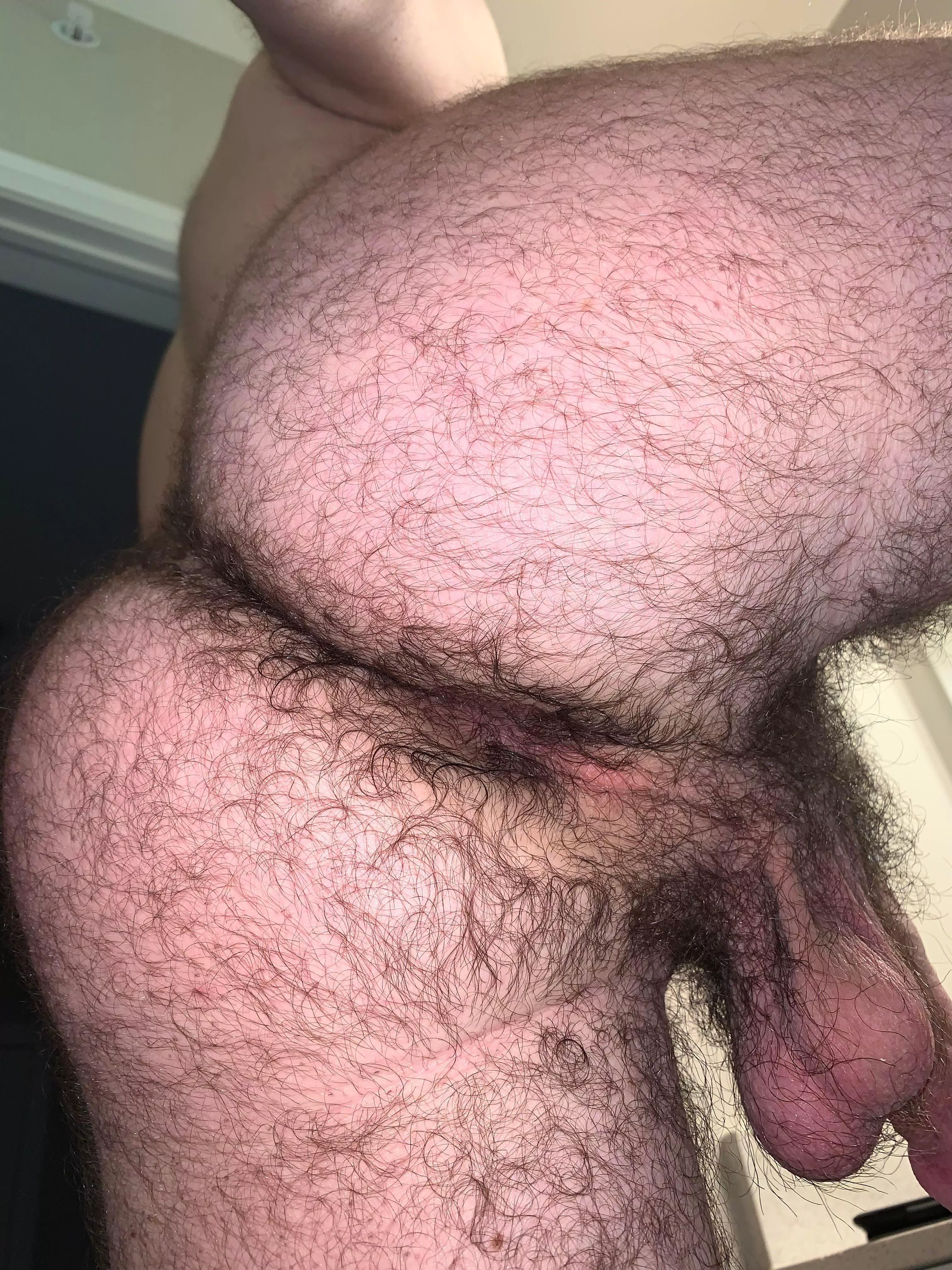 24 in shape bottom bro with a big furry bubble butt. DM me are open