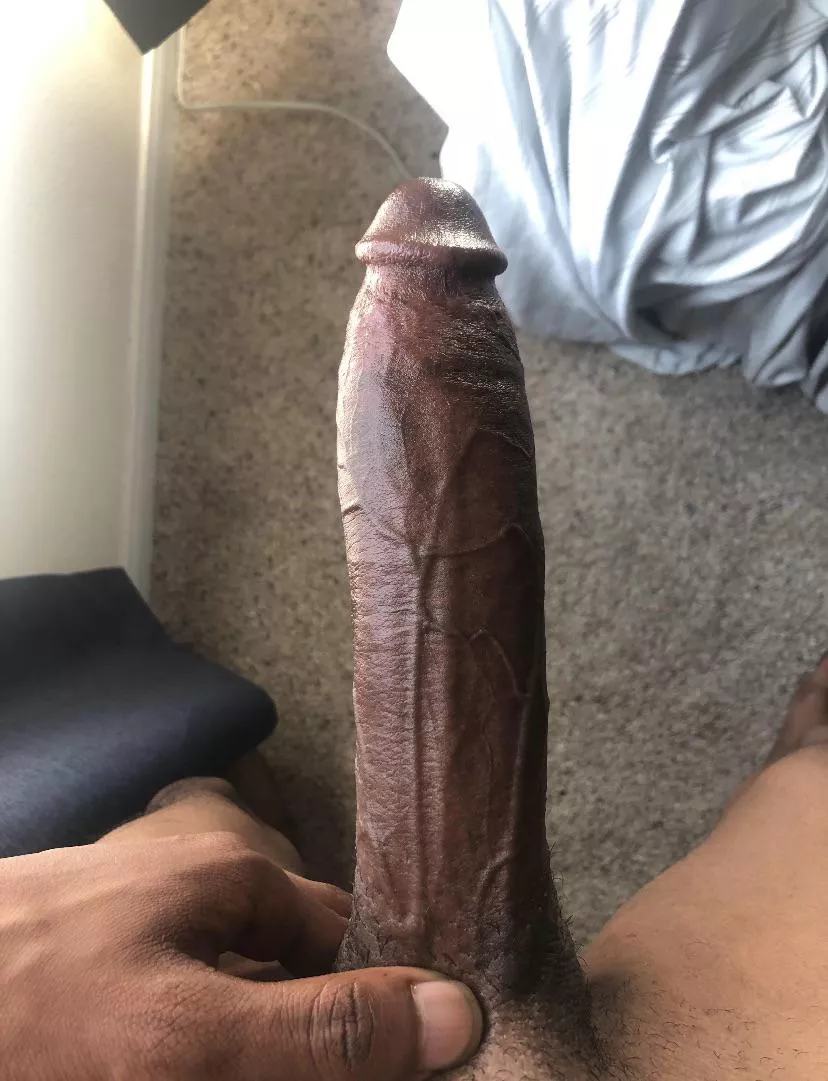 8.6 Inches 🪨